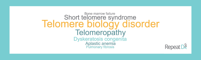 What is Telomere Biology Disorder word cloud