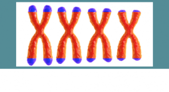 What are short telomeres?