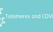 Telomeres and COVID-19