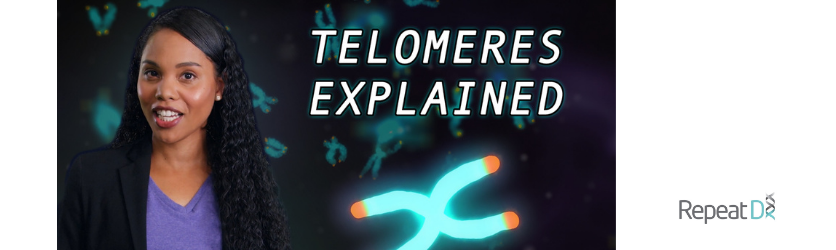 Telomeres Explained video image