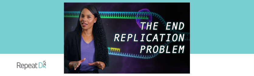 The End Replication problem and how it affects aging