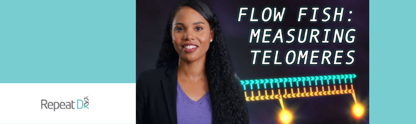 Flow FISH: measure telomere length