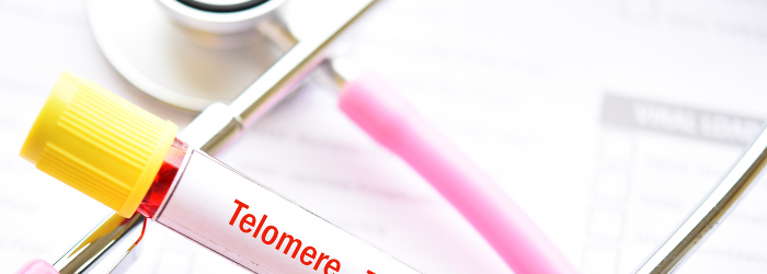 Telomere and Preventive Medicine